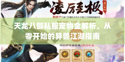 天龙八部私服宠物全解析，从零开始的异兽江湖指南
