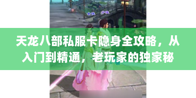 天龙八部私服卡隐身全攻略，从入门到精通，老玩家的独家秘籍