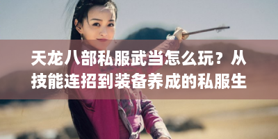 天龙八部私服武当怎么玩？从技能连招到装备养成的私服生存手册