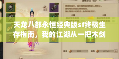 天龙八部永恒经典版sf终极生存指南，我的江湖从一把木剑开始