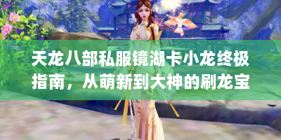 天龙八部私服镜湖卡小龙终极指南，从萌新到大神的刷龙宝典