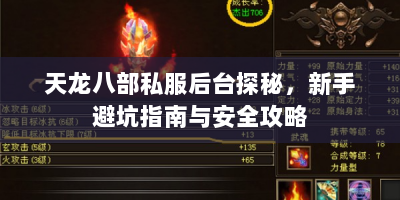 天龙八部私服后台探秘，新手避坑指南与安全攻略