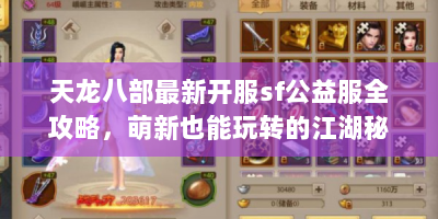 天龙八部最新开服sf公益服全攻略，萌新也能玩转的江湖秘籍