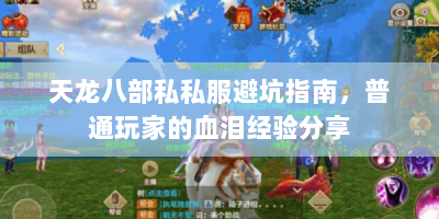 天龙八部私私服避坑指南，普通玩家的血泪经验分享