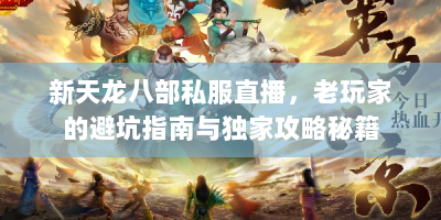 新天龙八部私服直播，老玩家的避坑指南与独家攻略秘籍