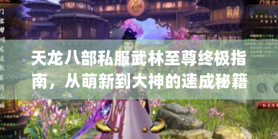 天龙八部私服武林至尊终极指南，从萌新到大神的速成秘籍