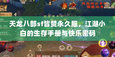 天龙八部sf皆赞永久服，江湖小白的生存手册与快乐密码