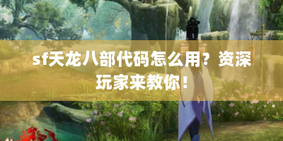 sf天龙八部代码怎么用？资深玩家来教你！