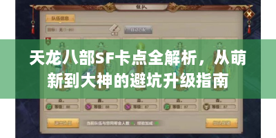 天龙八部SF卡点全解析，从萌新到大神的避坑升级指南