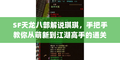 SF天龙八部解说琪琪，手把手教你从萌新到江湖高手的通关秘籍