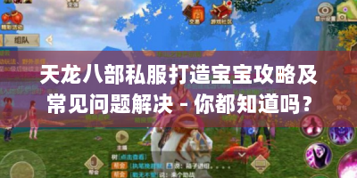 天龙八部私服打造宝宝攻略及常见问题解决 - 你都知道吗？