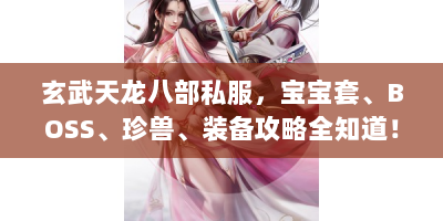 玄武天龙八部私服，宝宝套、BOSS、珍兽、装备攻略全知道！