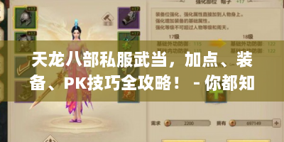 天龙八部私服武当，加点、装备、PK技巧全攻略！ - 你都知道吗？