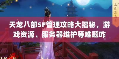 天龙八部SF管理攻略大揭秘，游戏资源、服务器维护等难题咋解决？