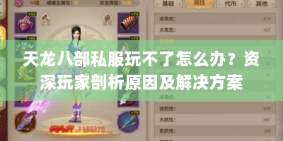 天龙八部私服玩不了怎么办？资深玩家剖析原因及解决方案