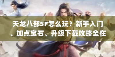 天龙八部SF怎么玩？新手入门、加点宝石、升级下载攻略全在这