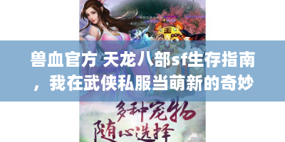 兽血官方 天龙八部sf生存指南，我在武侠私服当萌新的奇妙冒险