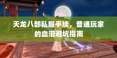 天龙八部私服手续，普通玩家的血泪避坑指南