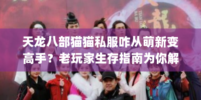 天龙八部猫猫私服咋从萌新变高手？老玩家生存指南为你解惑！