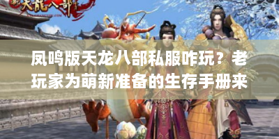 凤鸣版天龙八部私服咋玩？老玩家为萌新准备的生存手册来啦！