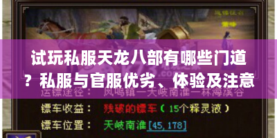 试玩私服天龙八部有哪些门道？私服与官服优劣、体验及注意事项