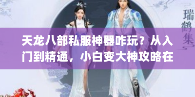 天龙八部私服神器咋玩？从入门到精通，小白变大神攻略在此！