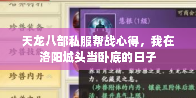 天龙八部私服帮战心得，我在洛阳城头当卧底的日子