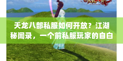 天龙八部私服如何开放？江湖秘闻录，一个前私服玩家的自白