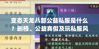变态天龙八部公益私服是什么？删档、公益真假及玩私服风险解析