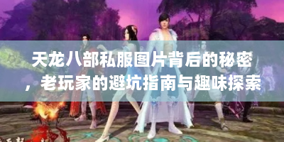 天龙八部私服图片背后的秘密，老玩家的避坑指南与趣味探索