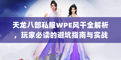天龙八部私服WPE风干全解析，玩家必读的避坑指南与实战技巧