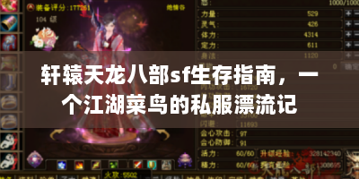 轩辕天龙八部sf生存指南，一个江湖菜鸟的私服漂流记