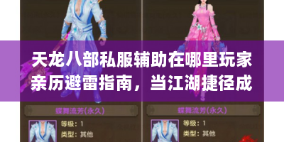 天龙八部私服辅助在哪里玩家亲历避雷指南，当江湖捷径成了万丈深渊