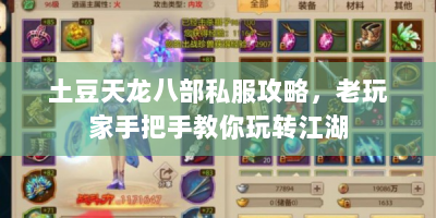 土豆天龙八部私服攻略，老玩家手把手教你玩转江湖