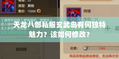 天龙八部私服玄武岛有何独特魅力？该如何修改？