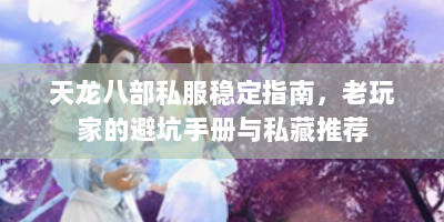 天龙八部私服稳定指南，老玩家的避坑手册与私藏推荐
