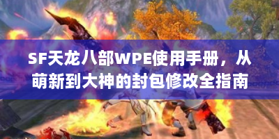 SF天龙八部WPE使用手册，从萌新到大神的封包修改全指南