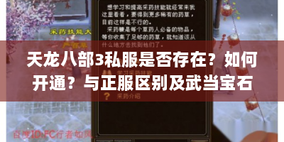 天龙八部3私服是否存在？如何开通？与正服区别及武当宝石打法解析