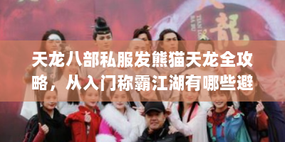 天龙八部私服发熊猫天龙全攻略，从入门称霸江湖有哪些避坑指南？
