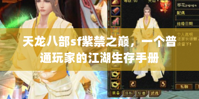 天龙八部sf紫禁之巅，一个普通玩家的江湖生存手册