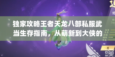 独家攻略王者天龙八部私服武当生存指南，从萌新到大侠的速成秘籍
