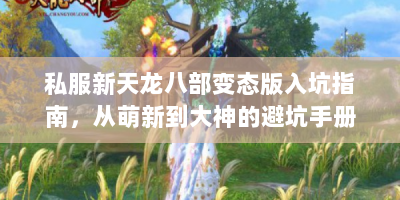 私服新天龙八部变态版入坑指南，从萌新到大神的避坑手册