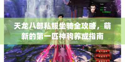 天龙八部私服坐骑全攻略，萌新的第一匹神驹养成指南