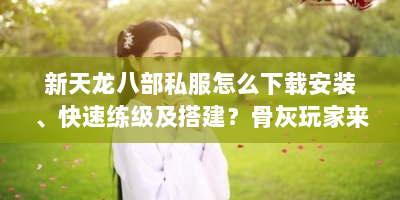 新天龙八部私服怎么下载安装、快速练级及搭建？骨灰玩家来支招
