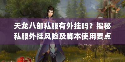 天龙八部私服有外挂吗？揭秘私服外挂风险及脚本使用要点