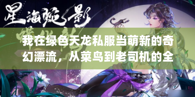 我在绿色天龙私服当萌新的奇幻漂流，从菜鸟到老司机的全攻略