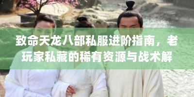 致命天龙八部私服进阶指南，老玩家私藏的稀有资源与战术解析