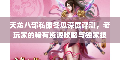 天龙八部私服冬瓜深度评测，老玩家的稀有资源攻略与独家技巧