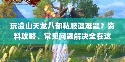 玩凉山天龙八部私服遇难题？资料攻略、常见问题解决全在这！