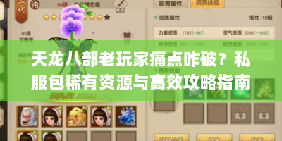 天龙八部老玩家痛点咋破？私服包稀有资源与高效攻略指南！